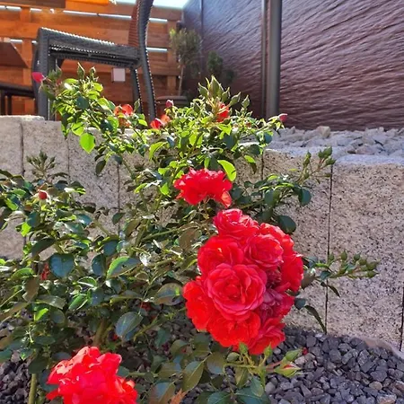 Ξενοδοχείο Maison De